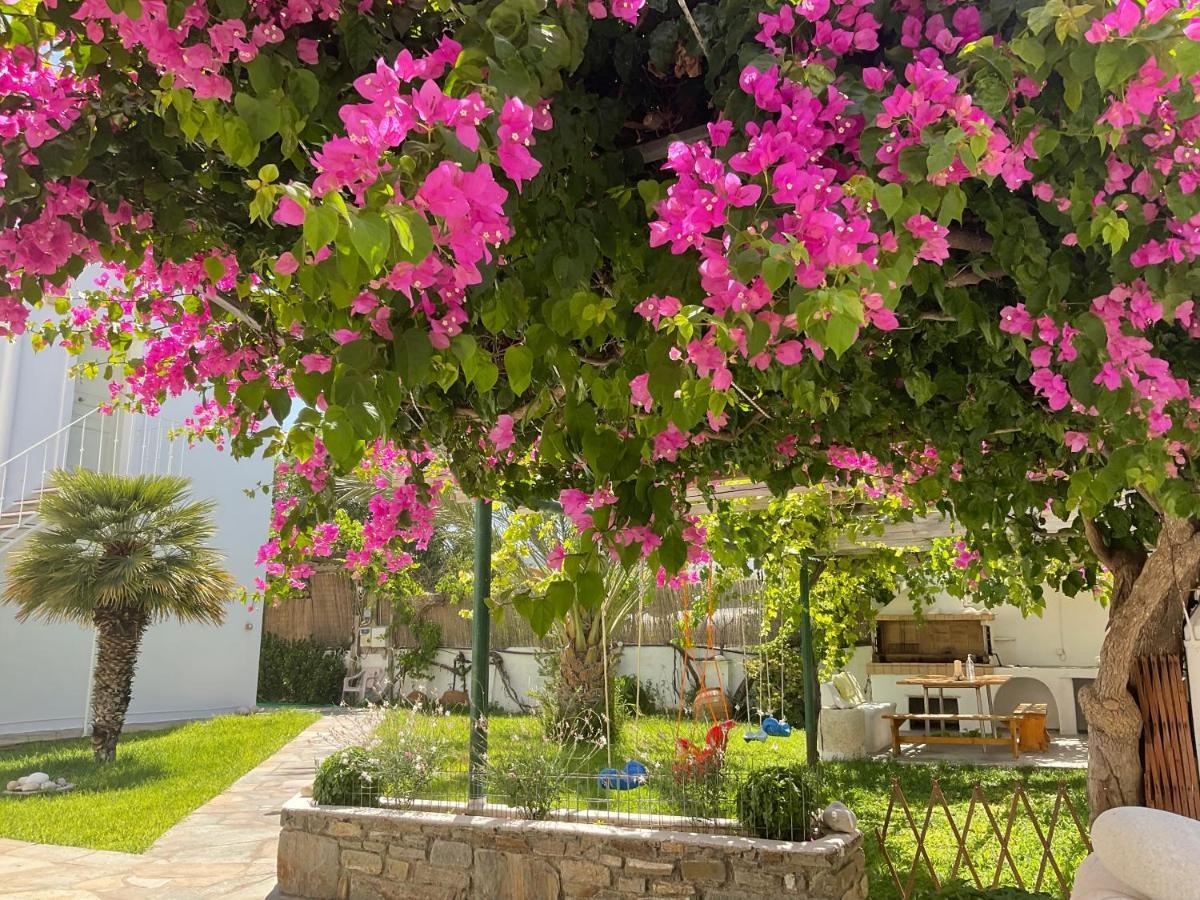 Apartment Rodia &