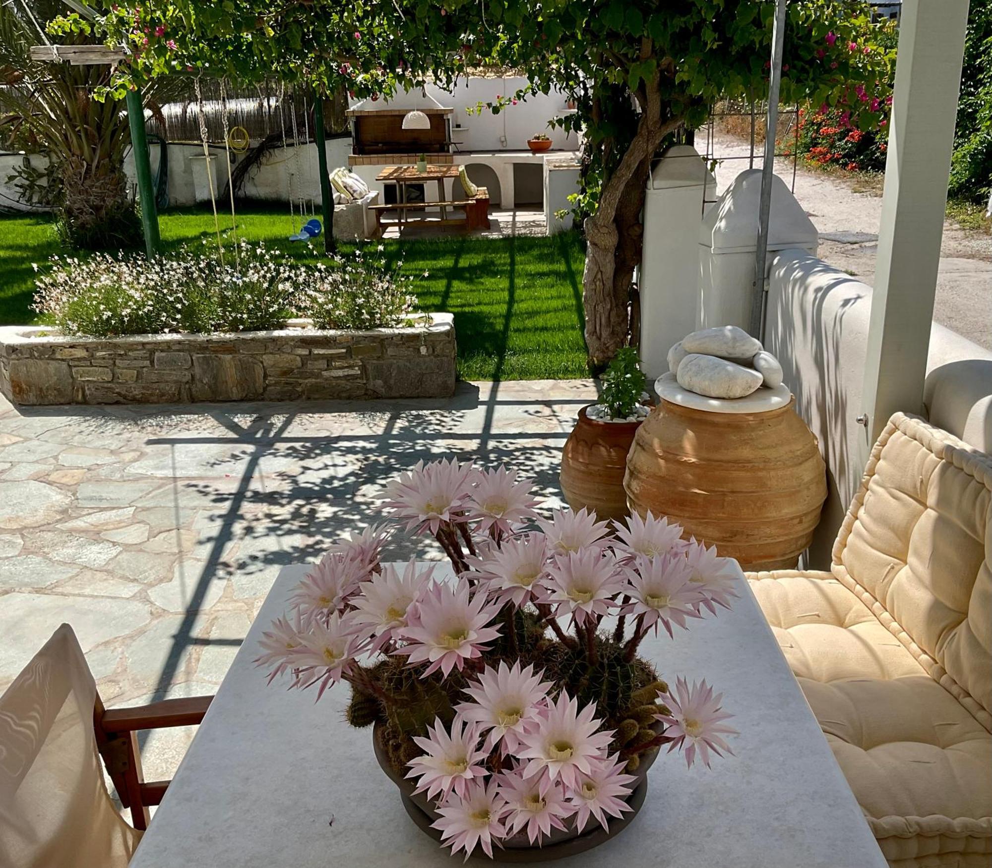 Rodia & * Parikia (Paros)